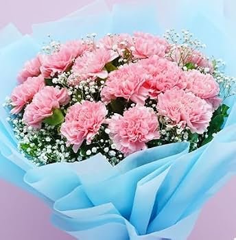 Carnations (Bunch of 15) — fresh flowers in Kolkata