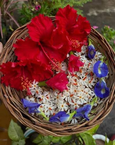 Daily Puja Flower Pack — fresh flowers in Kolkata