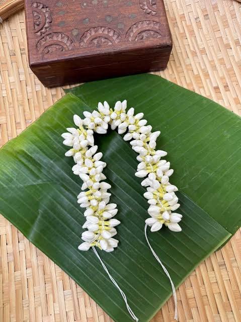 Jasmine Gajra (Mogra) pack of 5 — fresh flowers in Kolkata