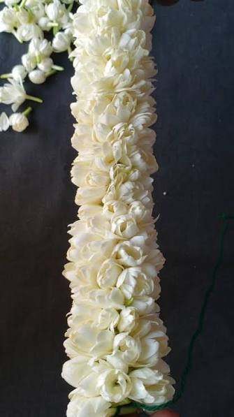Jasmine Garland (3 ft) — fresh flowers in Kolkata