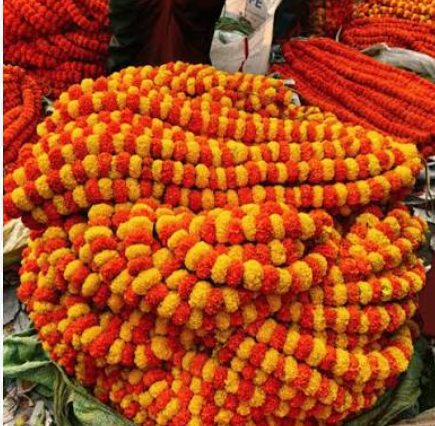 Marigold Flowers (Genda) 500g — fresh flowers in Kolkata
