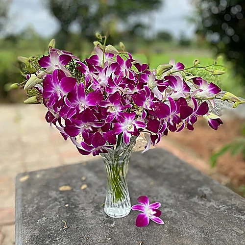 Purple Orchids (Bunch) — fresh flowers in Kolkata