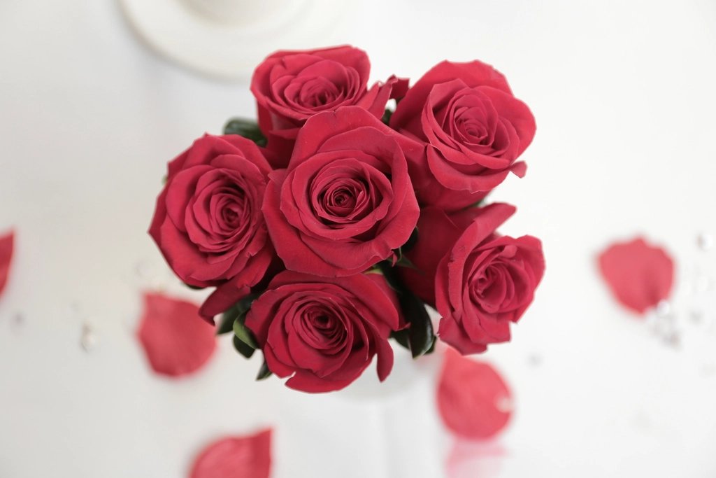 Romance Red Roses — fresh flowers in Kolkata