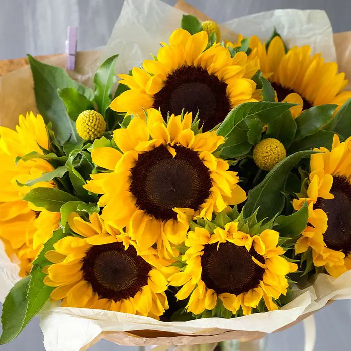 Sunflowers (Bunch of 5) — fresh flowers in Kolkata