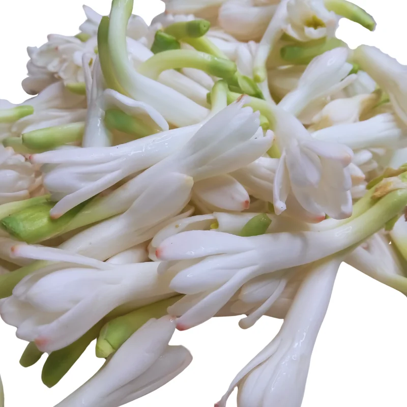 Tuberose / Rajnigandha (Bunch 500gm) — fresh flowers in Kolkata